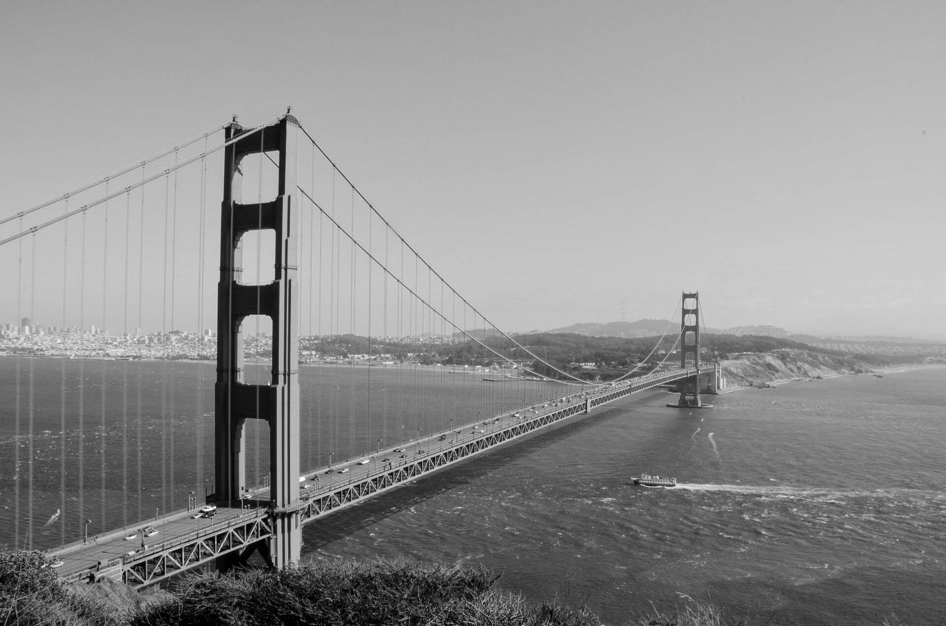 nimble_asset_banana_contact_us_bw